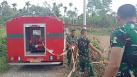 Tak Sekadar Menanam, Satgas TMMD ke-129 Kodim 0102/Pidie Rawat Harapan Petani di Tengah Teriknya Cuaca