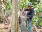 Selangkah Menuju Rumah Layak Huni, Satgas TMMD Ke-129 Fokus Rampungkan Bekisting dan Pondasi RTLH