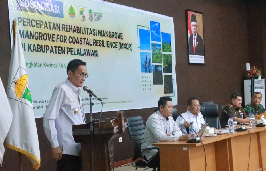 Pemkab Pelalawan  Apresiasi  Sosialisasi Percepatan Rehabilitas M4CR Oleh BRGM