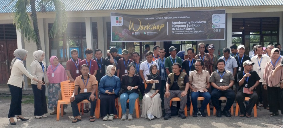 Semerbak Kopi dari Lahan Sawit, Inovasi Petani Siak Menuju Pertanian Berkelanjutan