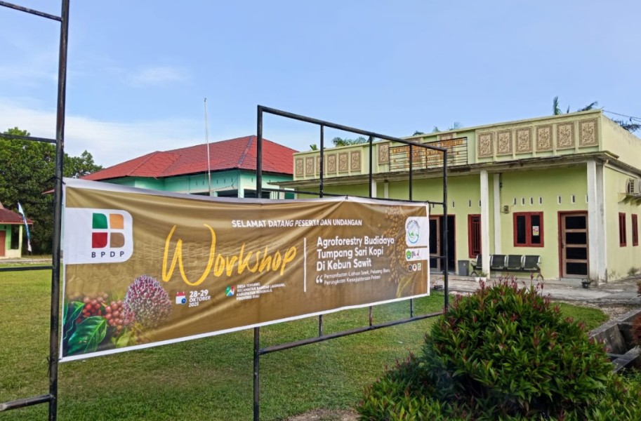 Sinergi Yayasan Gambut dan BPDP Hadirkan Peluang Baru bagi Petani Bengkalis