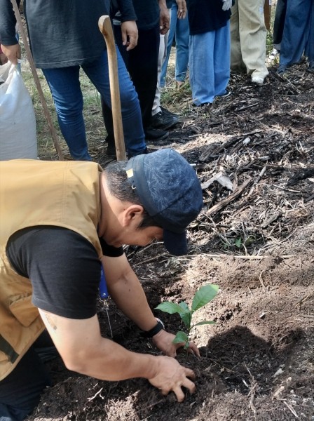 Kopi di Tengah Sawit, Bukti Semangat Baru Petani Bengkalis Menyongsong Pertanian Lestari